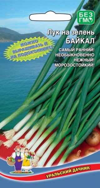картинка Лук на зелень Байкал 0,25г ц/п (УД) магазин Одежда+ являющийся официальным дистрибьютором в России 