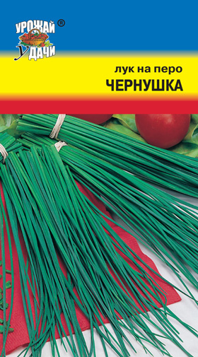 картинка Лук на перо Чернушка 0,5г ц/п (УУ) магазин Одежда+ являющийся официальным дистрибьютором в России 