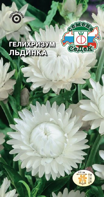 картинка Гелихризум Льдинка (белый) 0,2г ц/п (Седек) магазин Одежда+ являющийся официальным дистрибьютором в России 