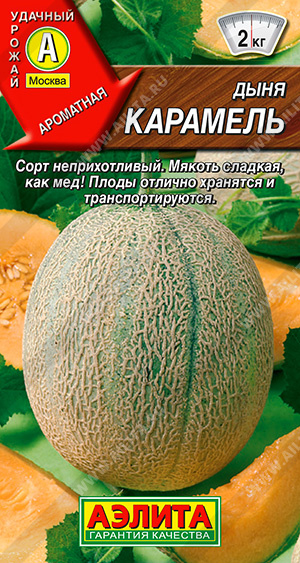 картинка Дыня Карамель 1г ц/п (Аэлита) ср/ран,1,9кг,овальн. магазин Одежда+ являющийся официальным дистрибьютором в России 