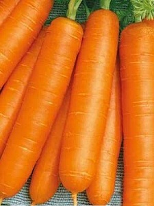 Морковь Детская сладость 1кг (ПрСидс)