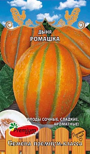 Дыня Ромашка 5шт ц/п (ПрСидс)