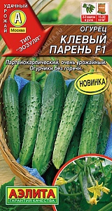 Огурец Клевый парень F1 10шт ц/п (Аэлита) Новинка