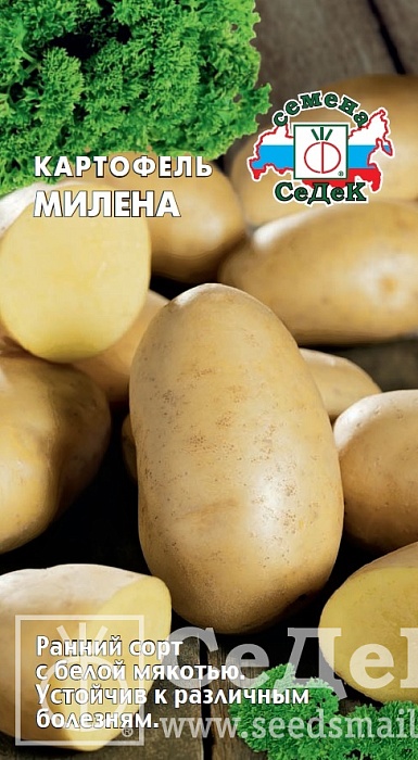 картинка Картофель Милена 0,02 г ц/п (Седек) ранний желт.,мякоть белая магазин Одежда+ являющийся официальным дистрибьютором в России 