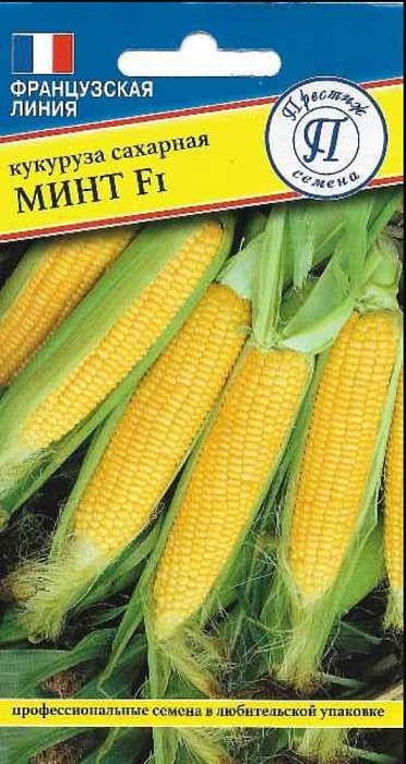 картинка Кукуруза Минт F1 10шт (Престиж) магазин Одежда+ являющийся официальным дистрибьютором в России 