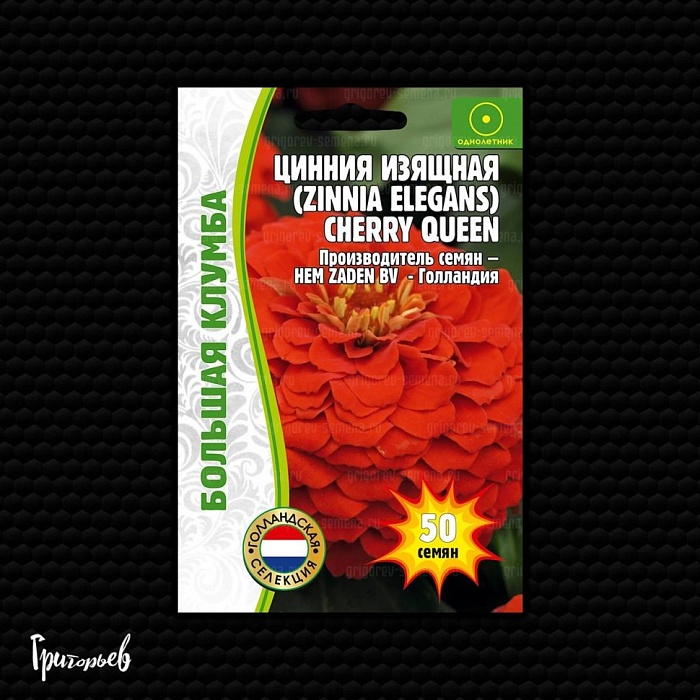 картинка Цинния Cherry Queen изящная 50шт (Григорьев) магазин Одежда+ являющийся официальным дистрибьютором в России 