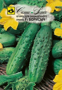 Огурец Борисыч F1 10шт (Семко)