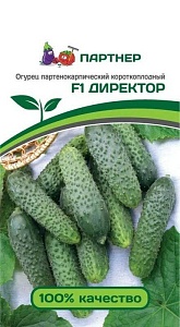Огурец Директор F1 5шт (Партнер) ранний,партеник