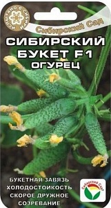 Огурец Сибирский букет F1 7шт (СибСад) 