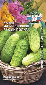 Огурец Сын Полка F1 0,3г ц/п (Седек)