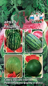 Арбуз Пацаны F1 1г ц/п (Седек) ран. 2-3кг
