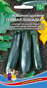 Кабачок Темная лошадка, цуккини 10шт ц/п (УД)