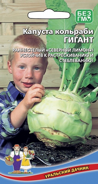 картинка Капуста кольраби Гигант 0,25г ц/п (УД) поздняя,до 3кг. магазин Одежда+ являющийся официальным дистрибьютором в России 