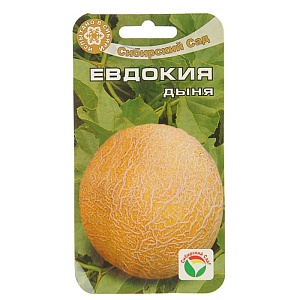 Дыня Евдокия 7шт скороспелая (СибСад) 2кг