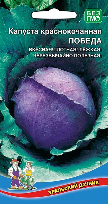 картинка Капуста краснокочанная Победа 0,25г ц/п (УД) с/спелая, до 2кг магазин Одежда+ являющийся официальным дистрибьютором в России 