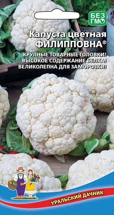 картинка Капуста цветная Филипповна 0,25г ц/п (УД) Новинка магазин Одежда+ являющийся официальным дистрибьютором в России 