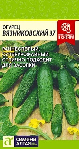 Огурец Вязниковский 37 0,5г ц/п (СемАлт)