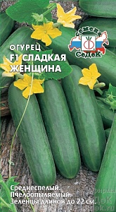Огурец Сладкая женщина F1 0,3г ц/п (Седек) пчелооп.длин