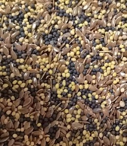 Смесь Сидератов 25кг (горчица+лен масличный+рапс) 40:30:30 (+/- 2%) (Ал.Сад)