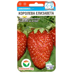 Земляника Королева Елизавета 10шт (СибСад)