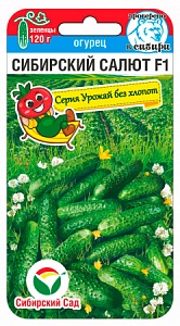 Огурец Сибирский салют 7шт (СибСад) 
