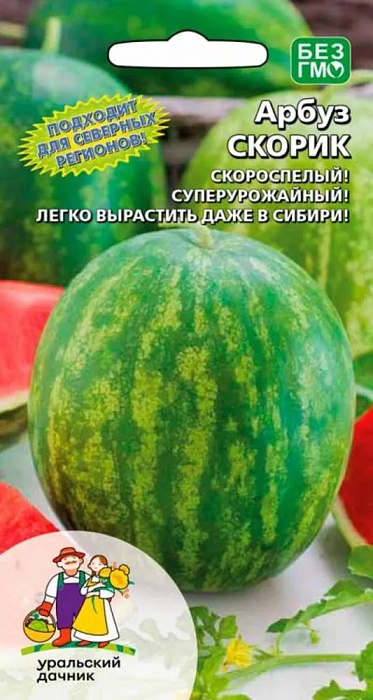 картинка Арбуз Скорик 10шт ц/п (УД) магазин Одежда+ являющийся официальным дистрибьютором в России 