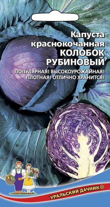 картинка Капуста краснокочанная Колобок Рубиновый 0,3г ц/п (УД) раннеспелая,1,3-1,5кг магазин Одежда+ являющийся официальным дистрибьютором в России 