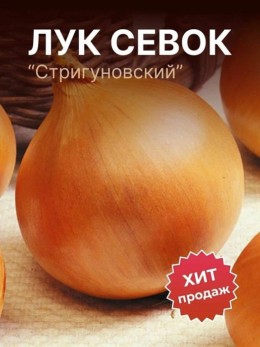 картинка Лук Стригуновский 1кг (ПрСидс) магазин Одежда+ являющийся официальным дистрибьютором в России 