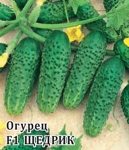Огурец Щедрик F1 250шт (Гавриш) пикуль