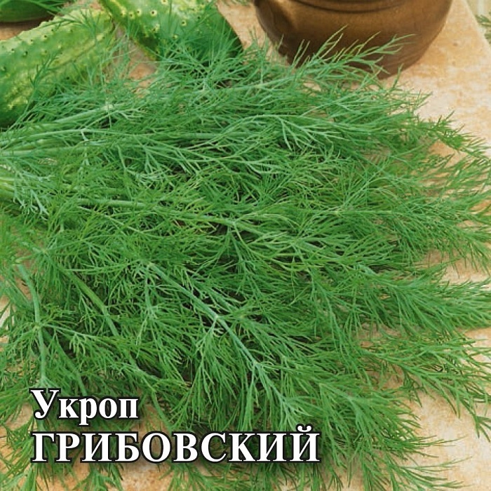 картинка Укроп Грибовский 1кг (ПрСидс) магазин Одежда+ являющийся официальным дистрибьютором в России 