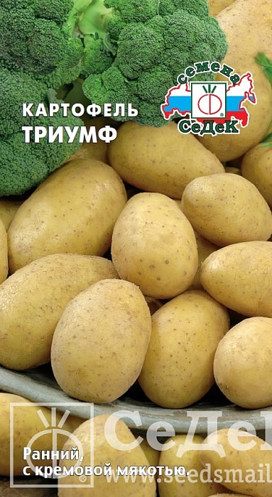 картинка Картофель Триумф 0,02г ц/п (Седек) ранний,мякоть кремовая магазин Одежда+ являющийся официальным дистрибьютором в России 