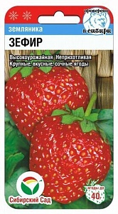 Земляника Зефир 10шт (СибСад)