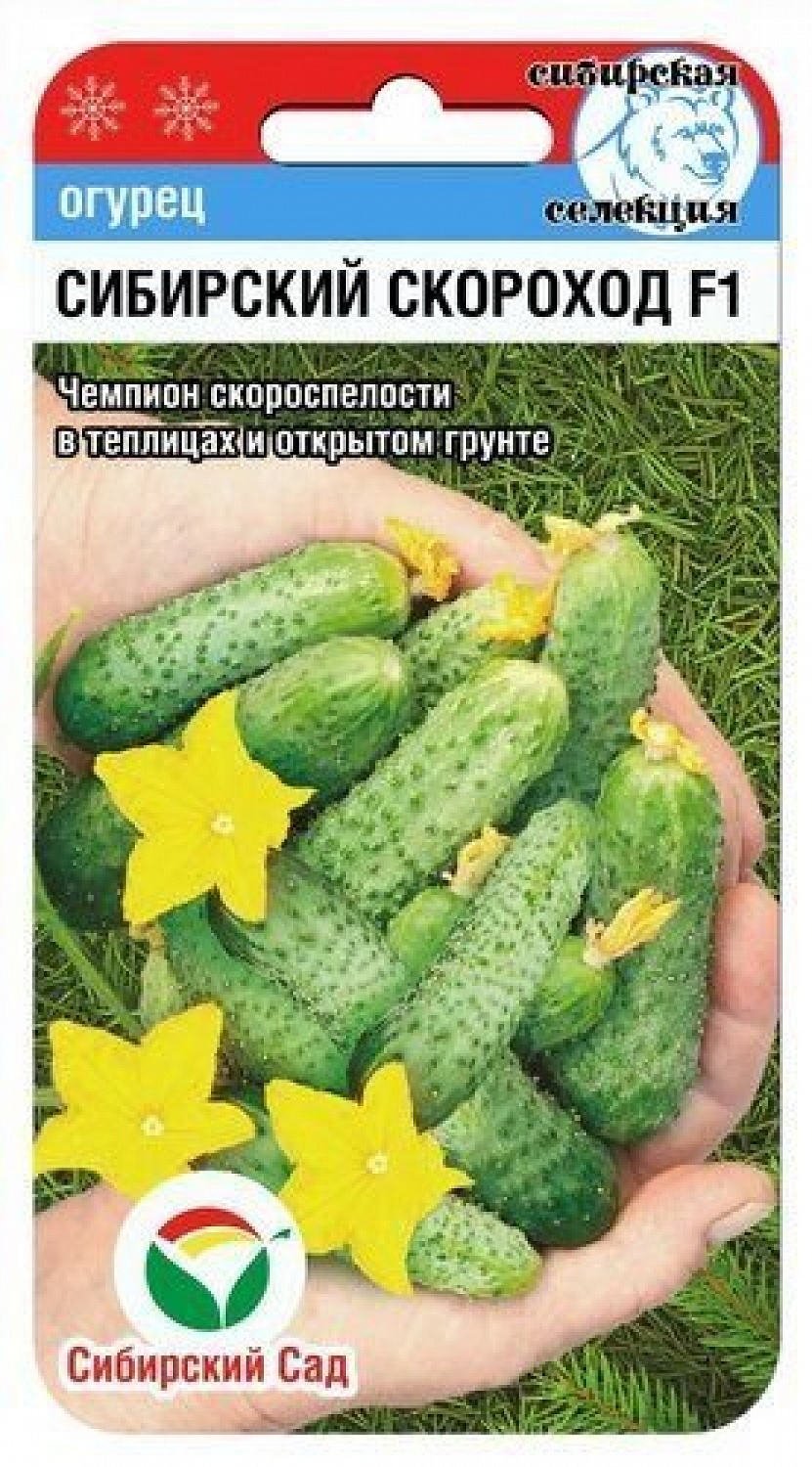 Огурец Сибирский скороход F1 7шт (СибСад) 