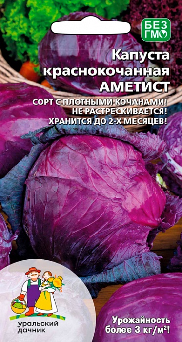картинка Капуста краснокочанная Аметист ц/п (УД) магазин Одежда+ являющийся официальным дистрибьютором в России 