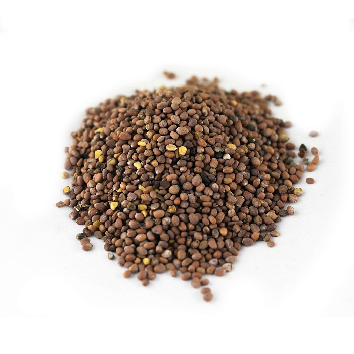 картинка Редька Масличная 25кг/м (+/- 2%) (Ал.Сад) магазин Одежда+ являющийся официальным дистрибьютором в России 