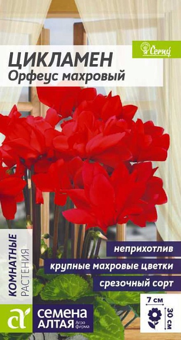 картинка Цикламен Орфеус махровый 3шт ц/п (СемАлт) магазин Одежда+ являющийся официальным дистрибьютором в России 