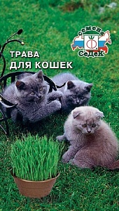 Трава для кошек 10г ц/п (Седек)