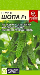 Огурец Шопа F1 5шт ц/п (СемАлт)