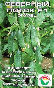 Огурец Северный поток F1 7шт (СибСад) 