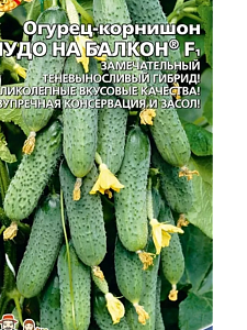 Огурец Чудо на Балкон F1 6шт ц/п (УД) 