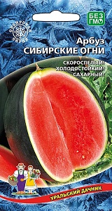 Арбуз Сибирские Огни 10шт ц/п (УД) скороспелый 2,5-5кг