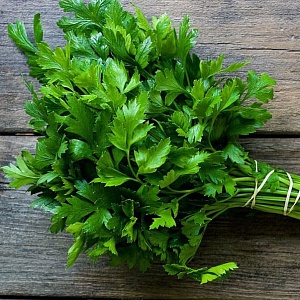 Петрушка листовая Итальянский гигант 1кг (ПрСидс)