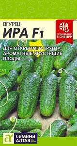 Огурец Ира F1 0,3г ц/п (СемАлт)