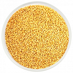 Горчица (фасовка 1кг) желтая