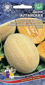 Дыня Алтайская 10шт ц/п (УД) скороспелая,до 1,6кг