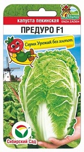 Капуста пекинская Предуро F1 10шт (СибСад)