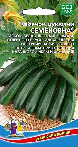 Кабачок Семеновна 10шт ц/п (УД)