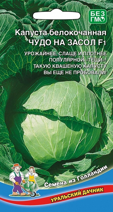 картинка Капуста Чудо на засол F1 0,3г ц/п (УД) ср/сп., для кваш., до 4,5кг магазин Одежда+ являющийся официальным дистрибьютором в России 