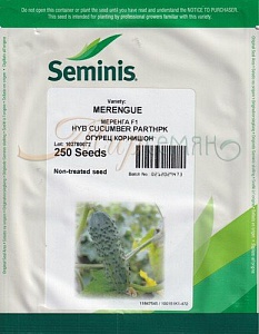 Огурец Меренга F1 250шт (Seminis)