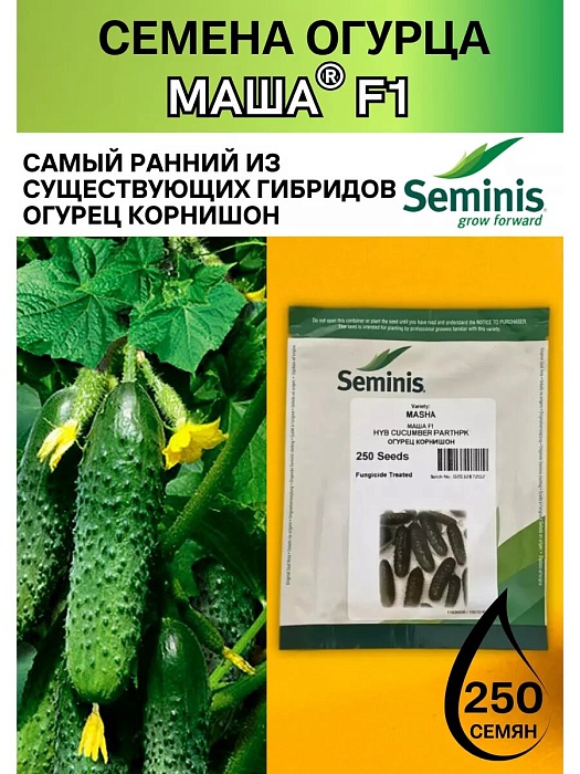 картинка Огурец Маша F1 250шт (RS) магазин Одежда+ являющийся официальным дистрибьютором в России 